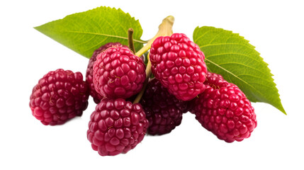 raspberries with leaves on a white background