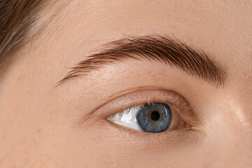 Macro photo of woman with beautiful eyes