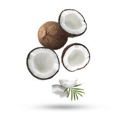 Coconuts and green leaf falling on white background