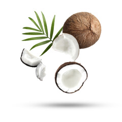 Coconuts and green leaf falling on white background