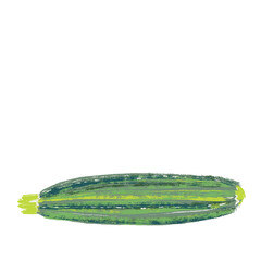 Illustration of a courgette, or zucchini, on isolated background