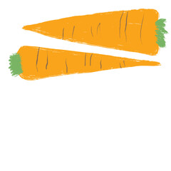 Illustration of two carrots, on isolated background