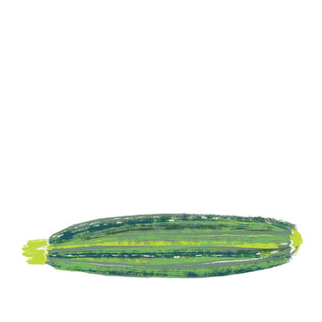Illustration of a courgette, or zucchini, on isolated background