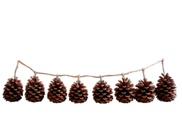 A Rustic Garland of Pine Cones Hanging on a Twine String on a Clear PNG or White Background.