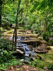 A stream in the tropical forest
