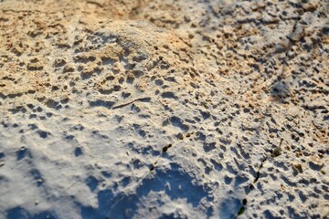 Stone texture