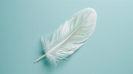 Beautiful white feather on a light turquoise background with copy space