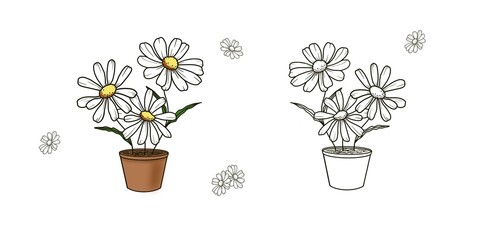 Set of bouquet of chamomile daisies in pot isolated contour drawing drawn by hand on a white background