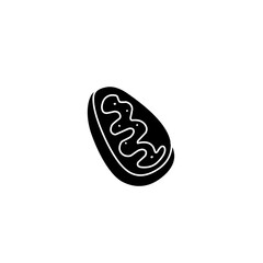 mitochondria cell icon