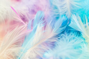 Obraz premium A Symphony of Pastel Hues in a Feather's Embrace