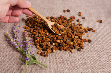 Human hand holding spoon with bee bread, bee bread as an alternative medicine