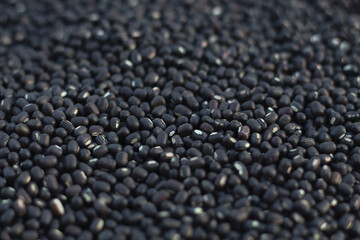 Huge variety of dried lentils ,legumes and cereals shot from above on white background