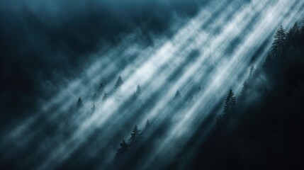 A scenic image showcasing sunrays breaking through dense mist in a forest, creating a mystical and serene atmosphere with tall trees partially obscured by fog.