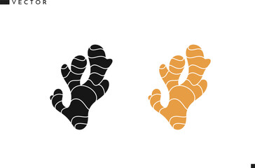 Ginger root vector. Natural food