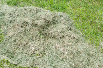 pile of cut dried grass