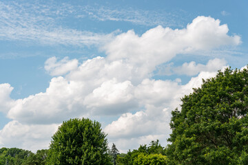 white fluffy clouds on a tranquil blue sky over tree tops in summer