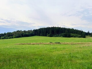 Wild nature and animals in the mountains of Šumava