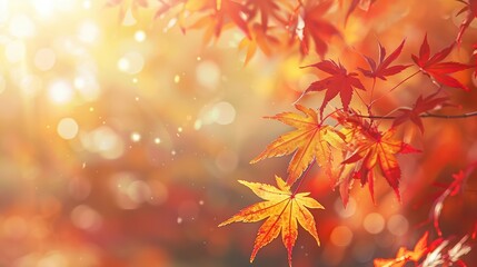 web banner design for autumn season and end year activity with red and yellow maple leaves with soft focus light and bokeh background