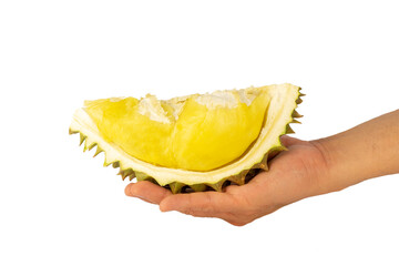 Durian on men hand  isolated on white background, Asia fruit