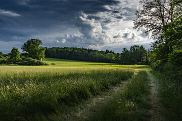 Dramatische Wolken über einer Fühsommerlandschaft im Naturpark Stromberg-Heuchelberg, Sersheim, Baden-Württemberg, Deutschland