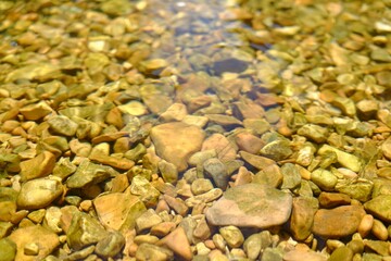 Beautiful mountain river with transparent water as background, closeup