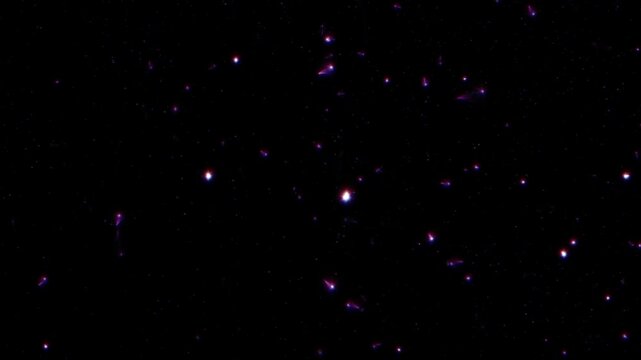 Loop glow pink blue stars particles flickering animation flow on black abstract background. Animation of fiery blue pink glowing flying ember burning ash particles.