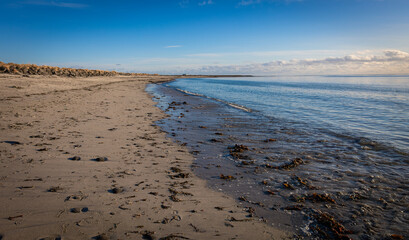 Ein Strand in Island