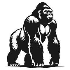 Clean Black and white Vector silhouette of a Gorilla  on white background © Awais