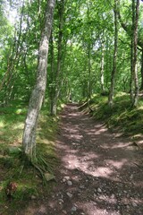 Ansteigender Wanderweg vom Besucherzentrum Naturum im Nationalpark Stenshuvud zu den Bergkuppen Norra und Södra Huvudet in der Provinz Skane in Schweden.   