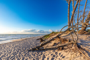 Zum Sonnenuntergang am Darsser Weststrand.