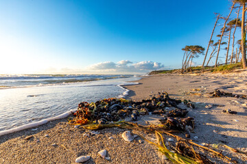 Zum Sonnenuntergang am Darsser Weststrand.