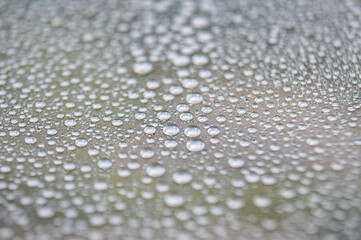 Rain water droplets with dark background. Image suitable for wallpaper or any design background