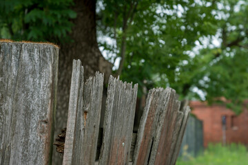 Wooden fence at the yard.
