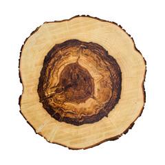 Tree stump circle rings, wood log print.