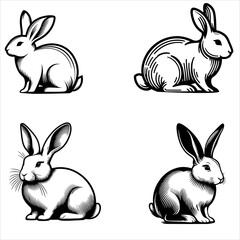 silhouette of clean vector rabbit sitting pose 