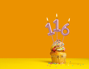 Birthday celebration with cupcake - Candle number 116