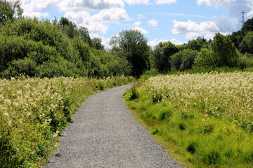 Naklejka premium Park