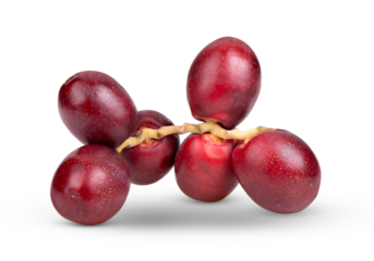 red raw date palm isolated on transparent png