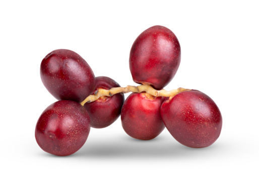 red raw date palm isolated on transparent png