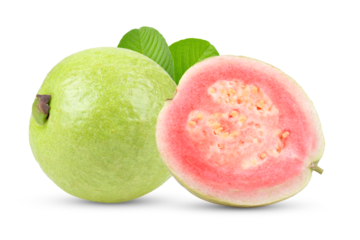 guava isolated on transparent png