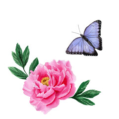 Pink peony flower with green leaves and lilac butterfly. Watercolor hand drawn illustration isolated on white background. For design, posters, cards