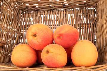 Several juicy apricots with vine basket, macro.
