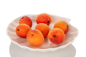 Several juicy apricots with white ceramic plate isolated on white background, macro.