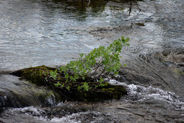 North of Sweden. Some pictures were taken in Norway, but it is just as nice as in northern Sweden. The air, the trees, the water, everything is absolutely stunning.