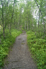 North of Sweden. Some pictures were taken in Norway, but it is just as nice as in northern Sweden. The air, the trees, the water, everything is absolutely stunning.
