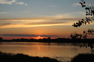 Naklejka premium Yellow Sunset in summer on river, water, lake with silhouette of trees, branches in the foreground. Red and yellow sunset in summer