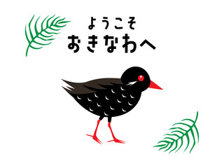 おきなわのヤンバルクイナとアレカヤシ