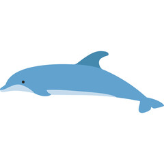 Cute Dolphin Illustration