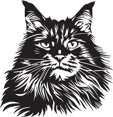 black and white maine coon cat