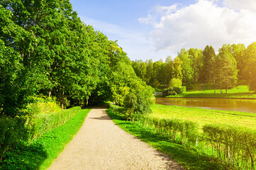 Summer landscape in sunny weather - forest trees growing at the bank of the river and narrow path